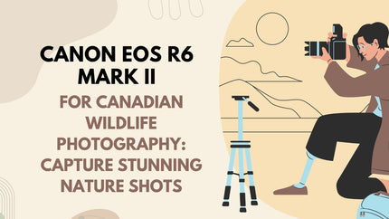 Canon EOS R6 Mark II for Canadian Wildlife Photography