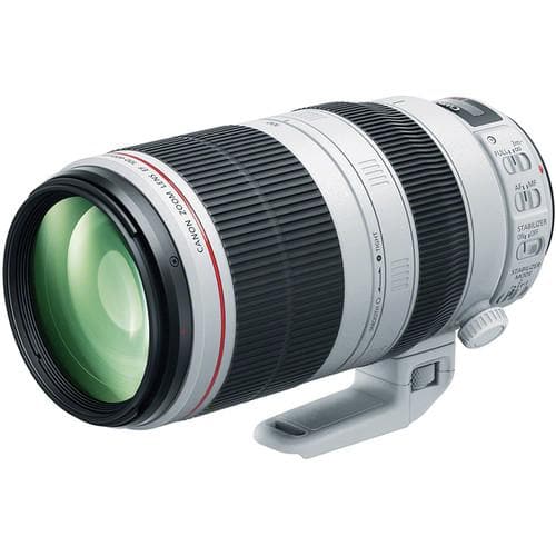 Image of Canon EF 100-400mm f/4.5-5.6 L IS II USM Lens
